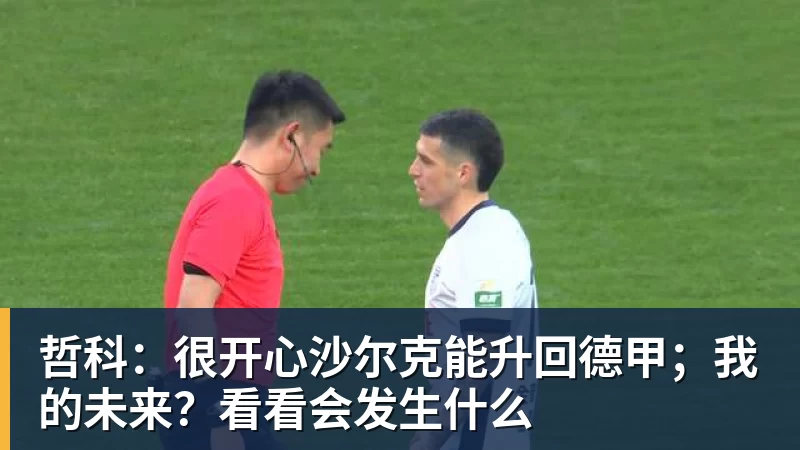 哲科:很开心沙尔克能升回德甲;我的未来?看看会发生什么